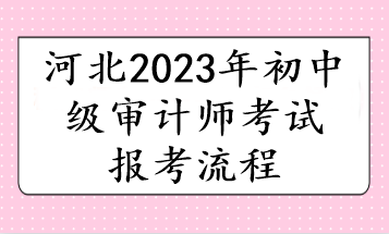 河北2023年初中级审计师考试报考流程 河北2023年初中级审计师考试报考流程