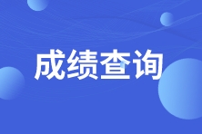 成绩查询 成绩查询