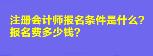2023年注册会计师报名条件是什么？报名费多少钱？