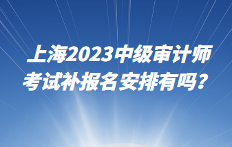 上海2023中级审计师考试补报名安排有吗? 上海2023中级审计师考试补报名安排有吗?