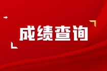 成绩查询 成绩查询