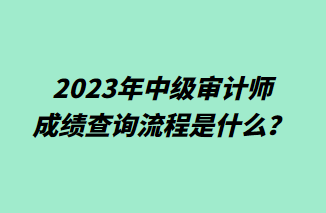 2023年中级审计师成绩查询流程是什么？