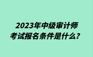 2023年中级审计师考试报名条件是什么？
