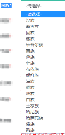 初中级经济师报名民族选择
