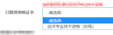 已取得资格证书