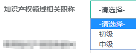 知识产权领域相关职称