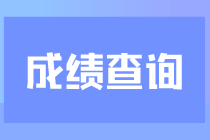 成绩查询
