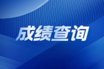 国际注册内部审计师查分入口是什么? 国际注册内部审计师查分入口是什么?