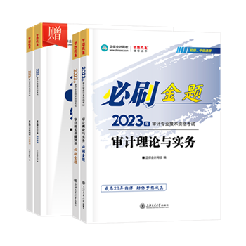 审计师必刷金题