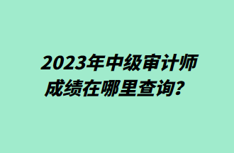 2023年中级审计师成绩在哪里查询？
