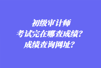 初级审计师考试完在哪查成绩?成绩查询网址? 初级审计师考试完在哪查成绩?成绩查询网址?