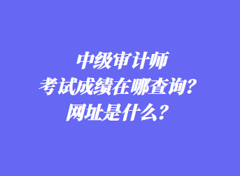 中级审计师考试成绩在哪查询?网址是什么? 中级审计师考试成绩在哪查询?网址是什么?
