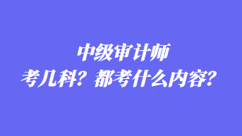 中级审计师考几科?都考什么内容? 中级审计师考几科?都考什么内容?