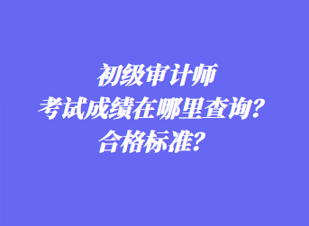 初级审计师考试成绩在哪里查询?合格标准? 初级审计师考试成绩在哪里查询?合格标准?