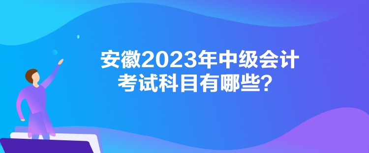 安徽2023年中级会计考试科目有哪些？
