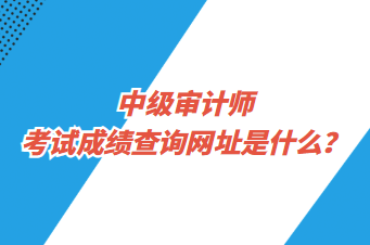 中级审计师考试成绩查询网址是什么? 中级审计师考试成绩查询网址是什么?