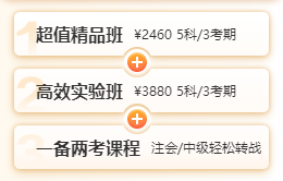 税务师畅学旗舰班