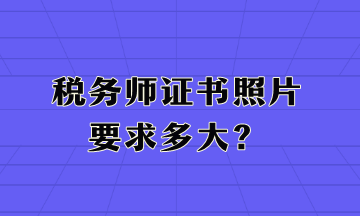 税务师证书照片要求多大？