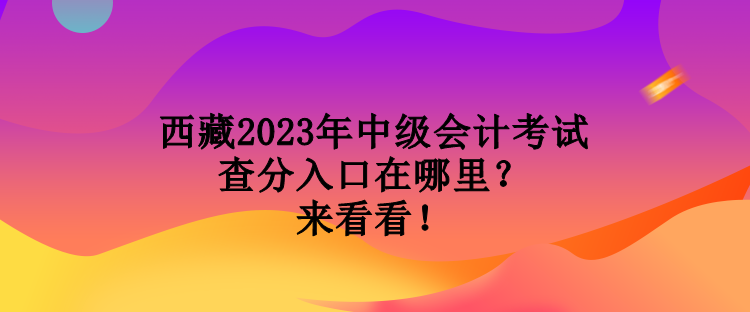 西藏2023年中级会计考试查分入口在哪里?来看看! 西藏2023年中级会计考试查分入口在哪里?来看看!