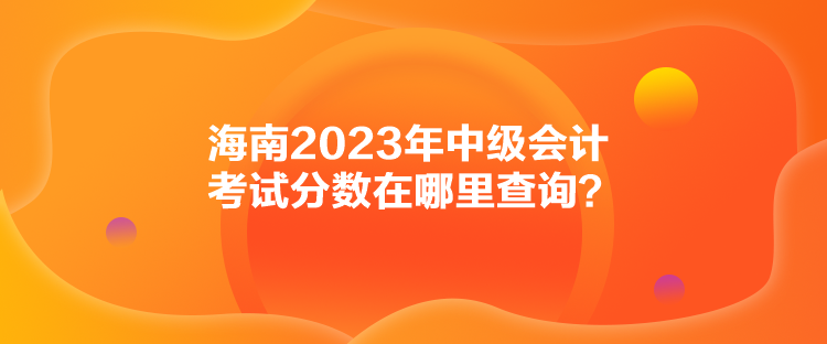 海南2023年中级会计考试分数在哪里查询？