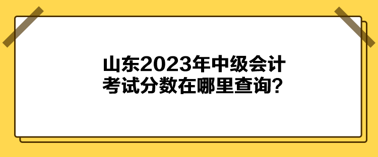 山东2023年中级会计考试分数在哪里查询？