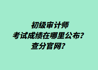 初级审计师考试成绩在哪里公布?查分官网? 初级审计师考试成绩在哪里公布?查分官网?