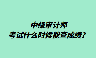中级审计师考试什么时候能查成绩? 中级审计师考试什么时候能查成绩?