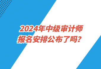 2024年中级审计师报名安排公布了吗？