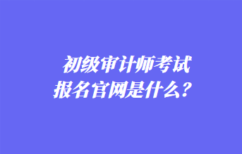 初级审计师考试报名官网是什么？