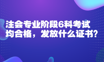 注会专业阶段6科考试均合格，发放什么证书？