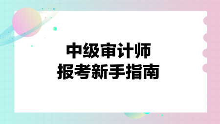 中级审计师报考新手指南 中级审计师报考新手指南