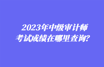 2023年中级审计师考试成绩在哪里查询？