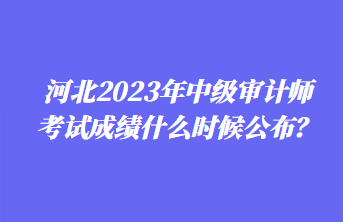 河北2023年中级审计师考试成绩什么时候公布？
