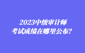 2023中级审计师考试成绩在哪里公布？
