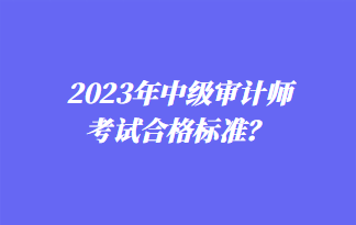 2023年中级审计师考试合格标准？