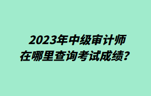 2023年中级审计师在哪里查询考试成绩？
