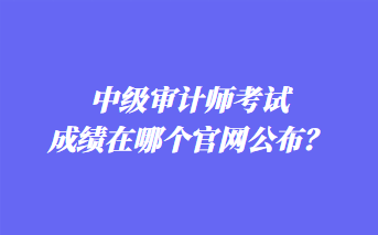 中级审计师考试成绩在哪个官网公布? 中级审计师考试成绩在哪个官网公布?