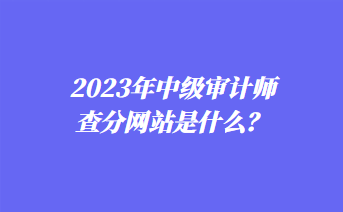 2023年中级审计师查分网站是什么？