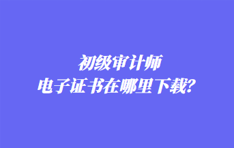 初级审计师电子证书在哪里下载? 初级审计师电子证书在哪里下载?