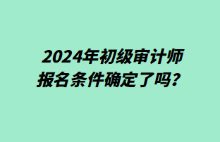 2024年初级审计师报名条件确定了吗? 2024年初级审计师报名条件确定了吗?