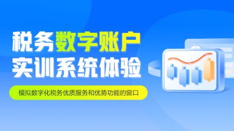 税务数字账户实训系统