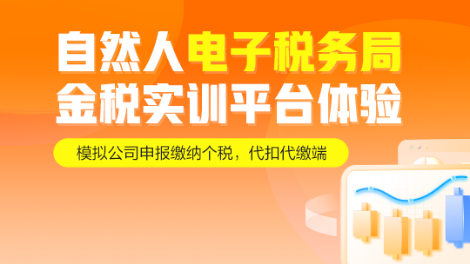 自然人电子税务局金税实训平台
