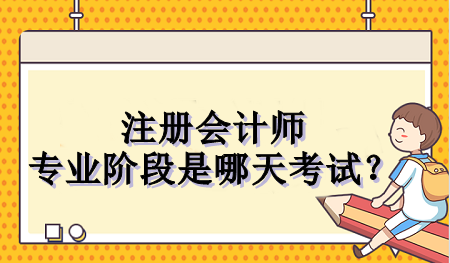 注册会计师专业阶段是哪天考试？