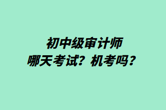 初中级审计师哪天考试?机考吗? 初中级审计师哪天考试?机考吗?