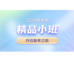 税务师精品小班