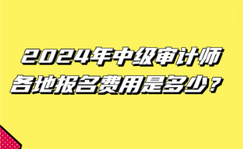 2024年中级审计师各地报名费用是多少? 2024年中级审计师各地报名费用是多少?
