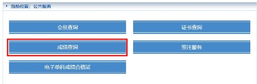 成绩查询 成绩查询