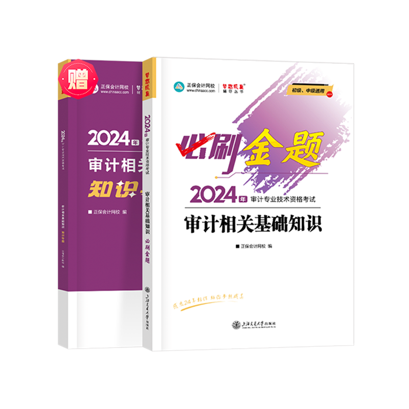 2024审计相关基础知识必刷金题