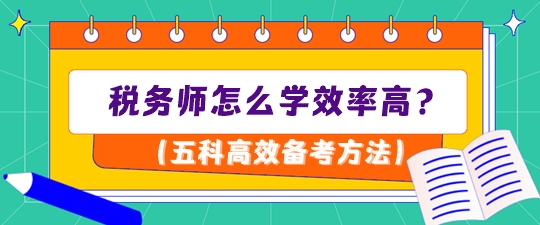 税务师怎么学效率高？1