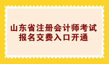 2024年山东省注册会计师考试报名交费入口开通！速来交费>